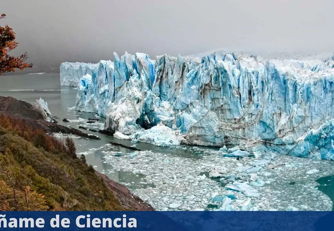 Así es como está evolucionando el ecosistema debido al deshielo de glaciares, según la ciencia