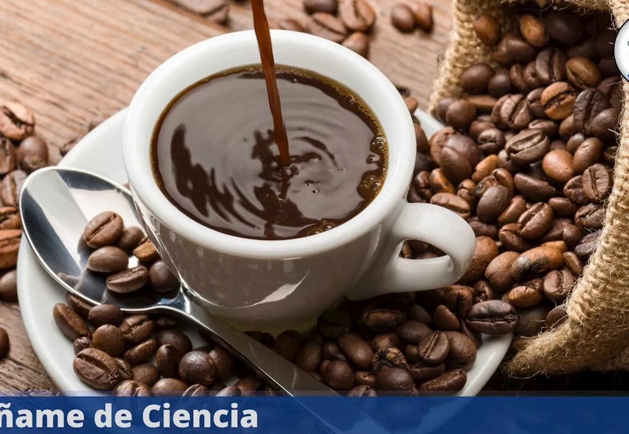 Según un estudio científico, este es el mejor horario para tomar café