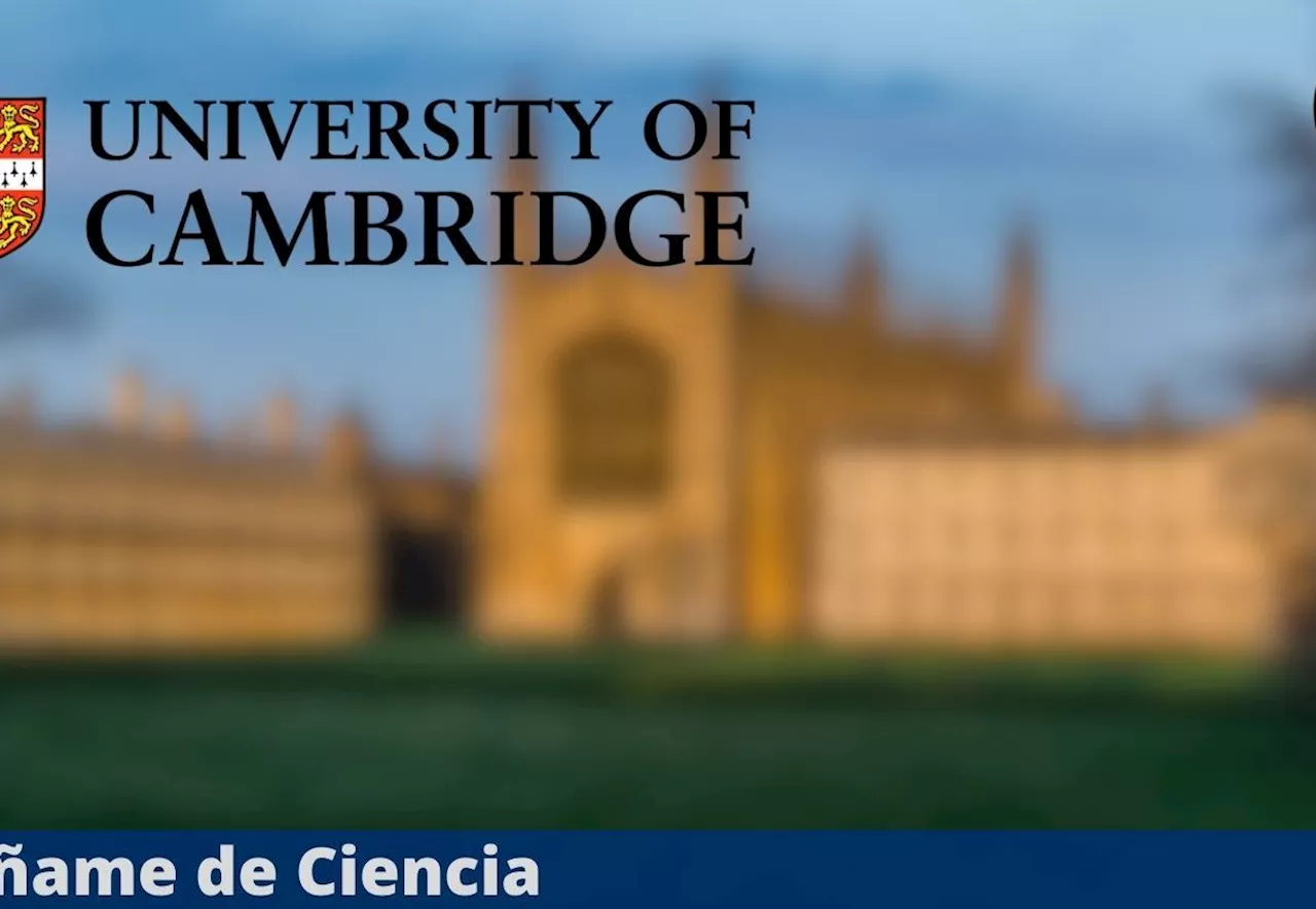 Universidad de Cambridge lanzó cursos virtuales de INGLÉS 100% GRATUITOS, de básico a avanzado