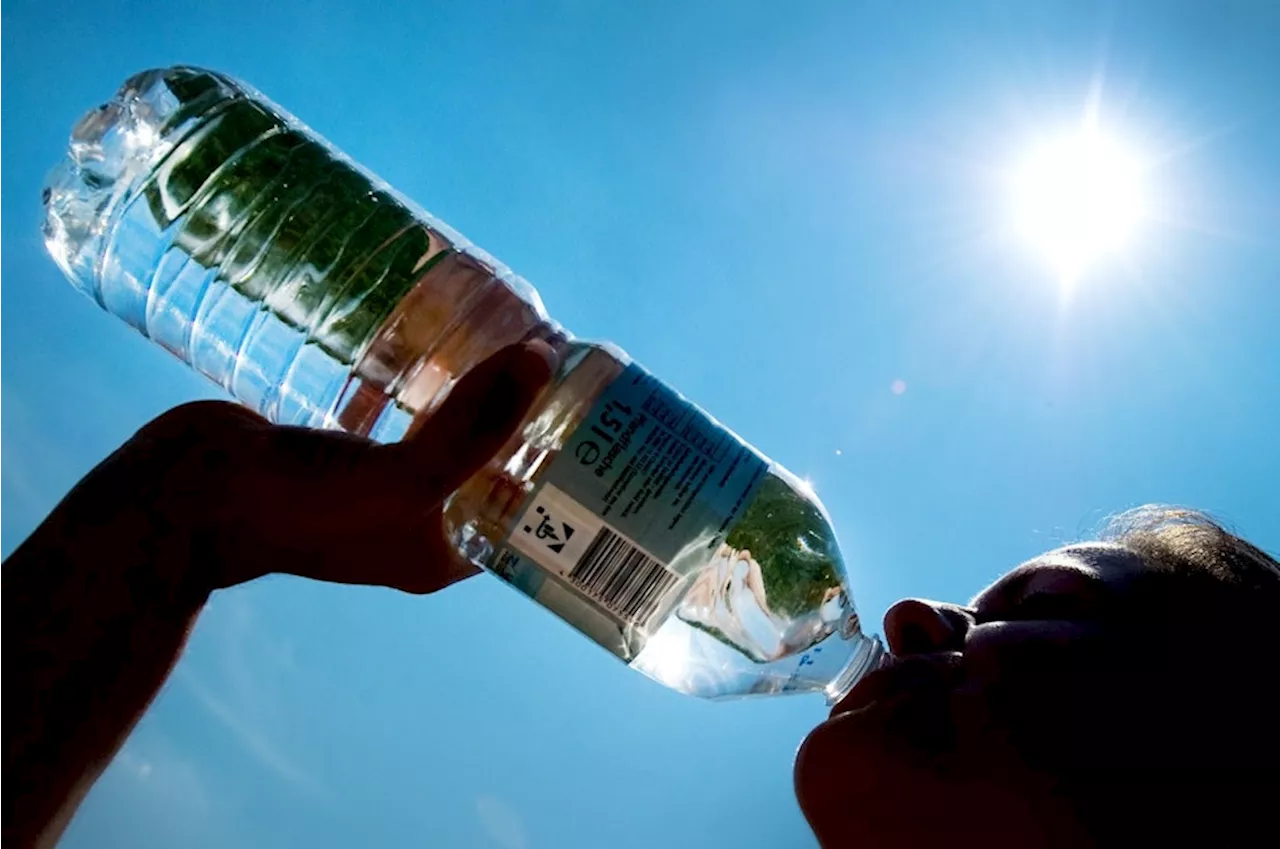 Das passiert im Körper, wenn wir vergessen zu trinken