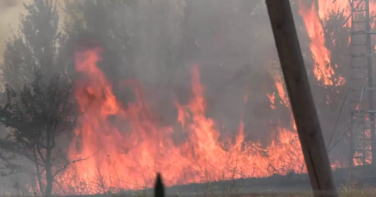 Roma continua a bruciare, incendio alla Pisana: fiamme alte lambiscono il grande raccordo anulare (video)