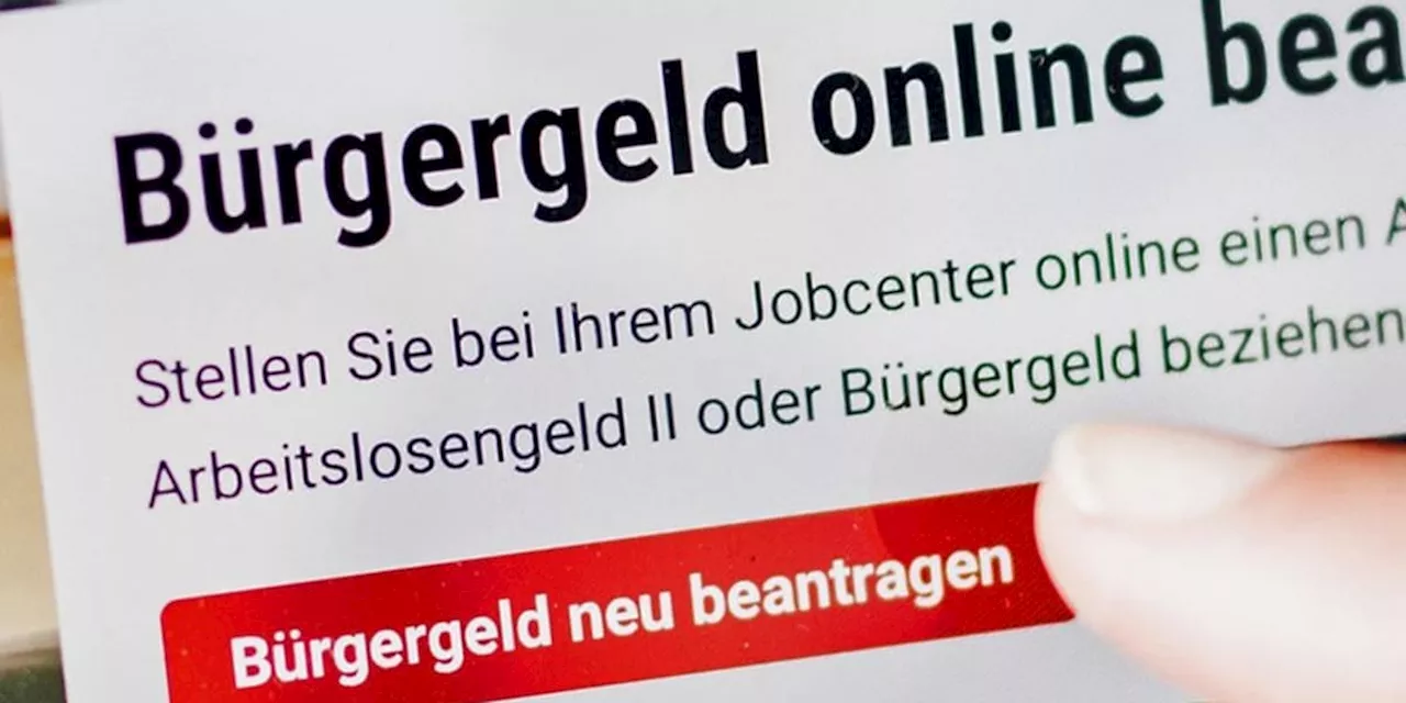 FDP-Fraktionschef: Bürgergeld ist 14 bis 20 Euro zu hoch