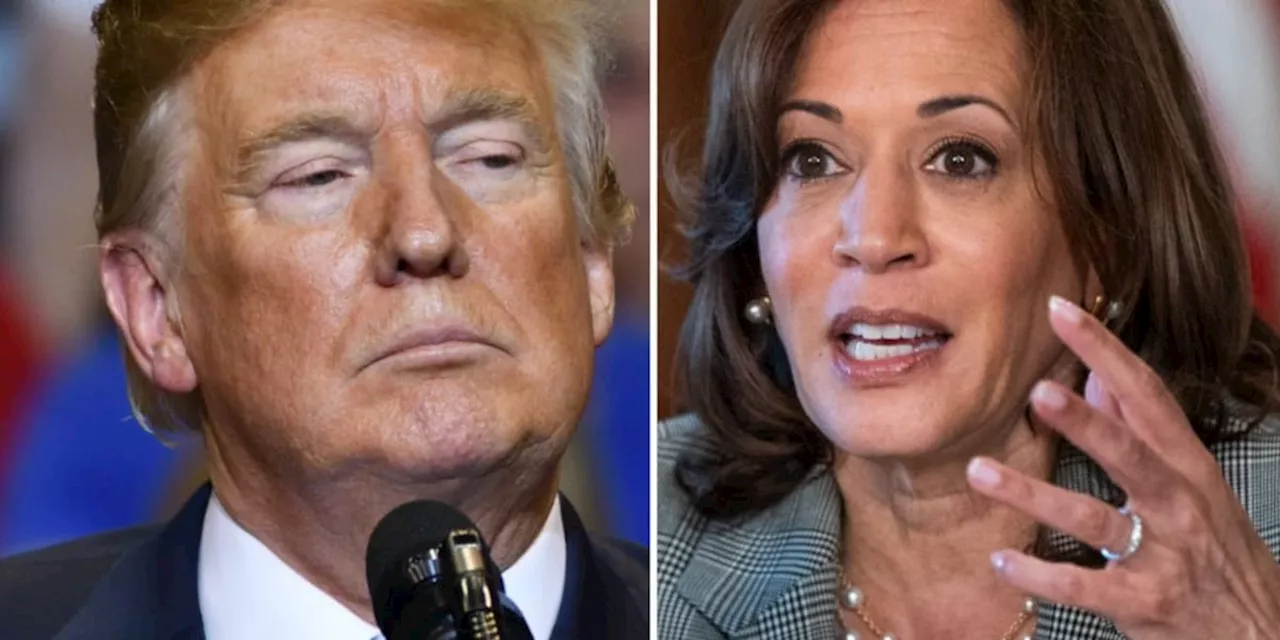 Kamala Harris attackiert Donald Trump und fordert unabhängige Fed