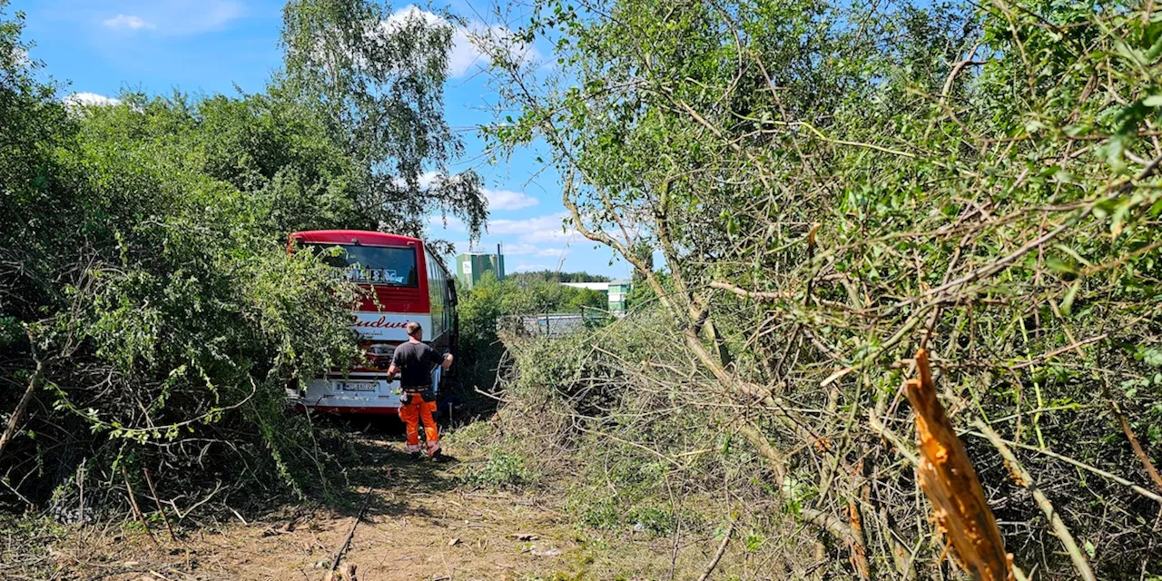 Reisebus auf A72 verunglückt - sieben Verletzte