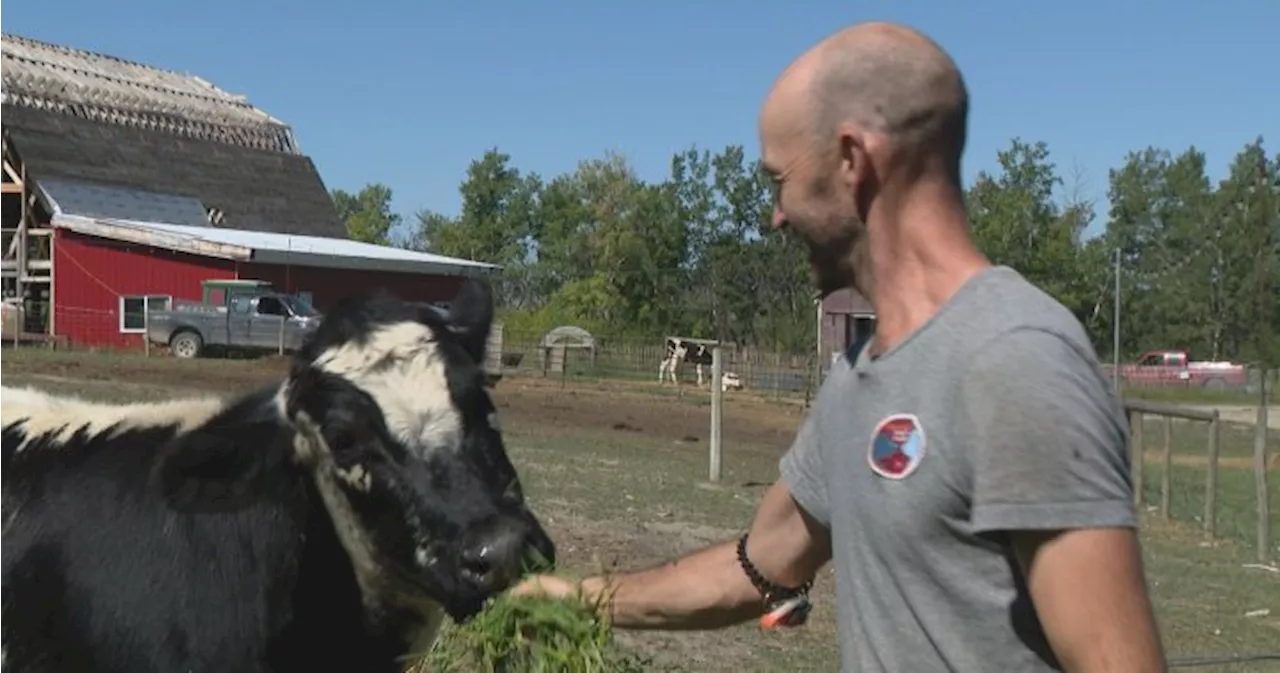 Inaugural Saskatchewan Open Farm Days sows seeds of knowledge, connection