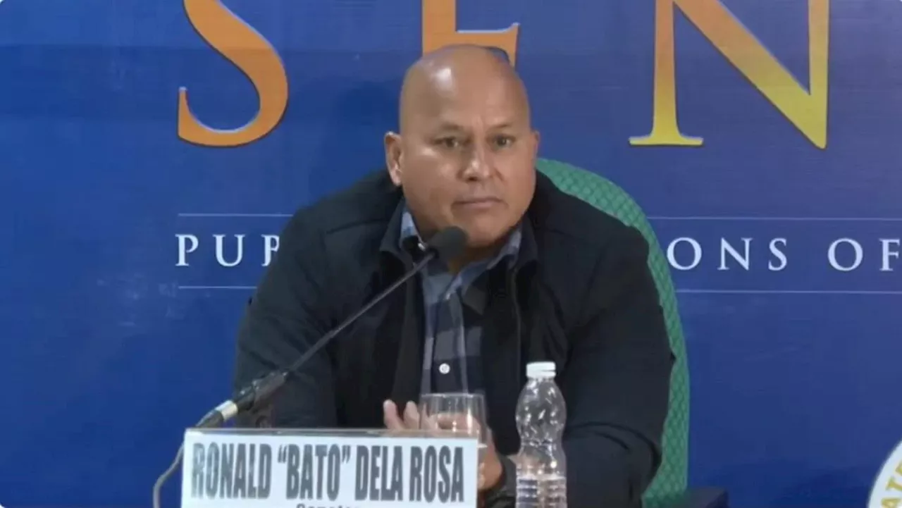 Bato Dela Rosa’s remarks on House POGO inquiry 'unnecessary' — solon