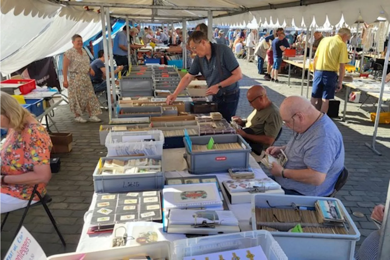 Zomerbeurs kan op veel belangstelling rekenen