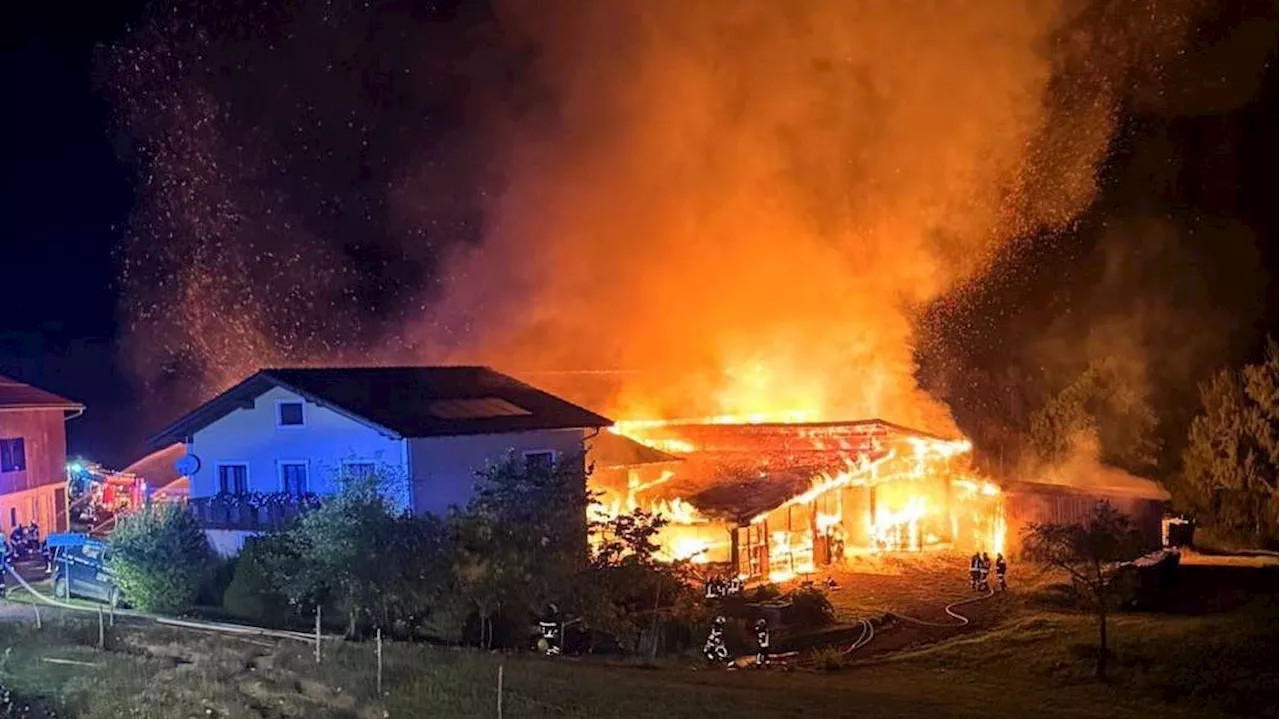  Riesige Rauchsäule über NÖ – Feuerwehr im Großeinsatz