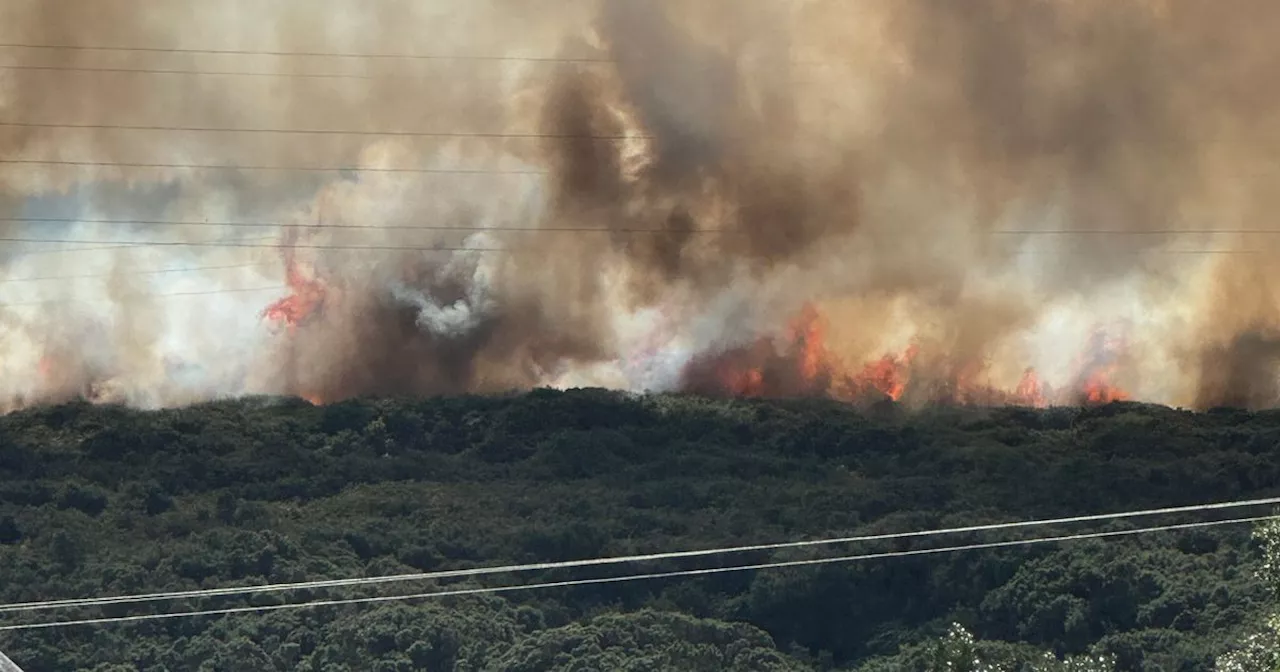 Dublin Fire Brigade battling gorse wildfire as locals advised to close windows