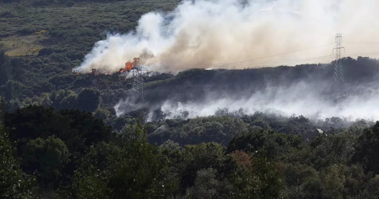 Dublin Fire Brigade battles gorse blaze in Sandyford