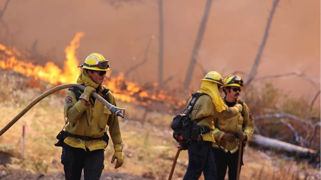 Northern California's Park Fire burns nearly 430k acres