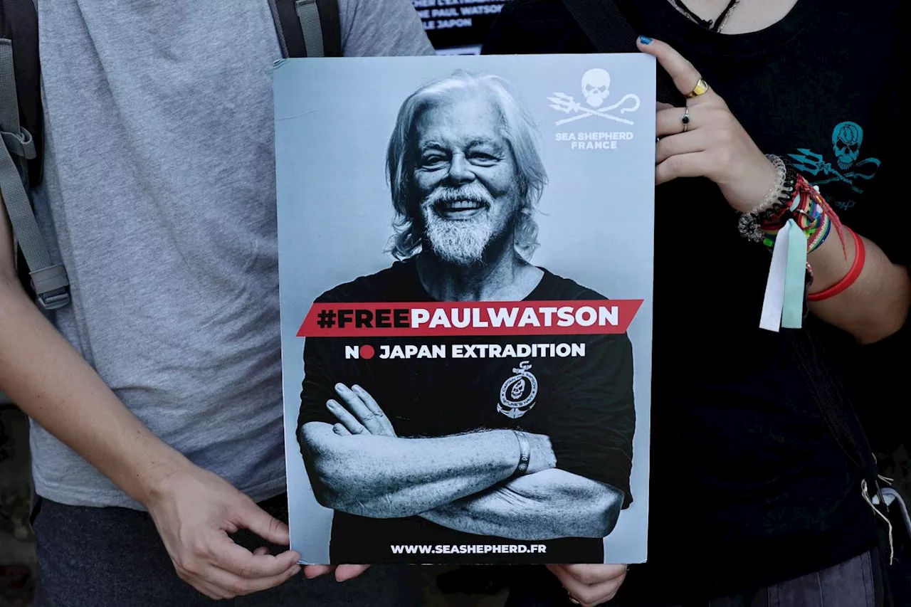 Baleines: Mobilisations en France contre l'extradition de Paul Watson du Danemark vers le Japon