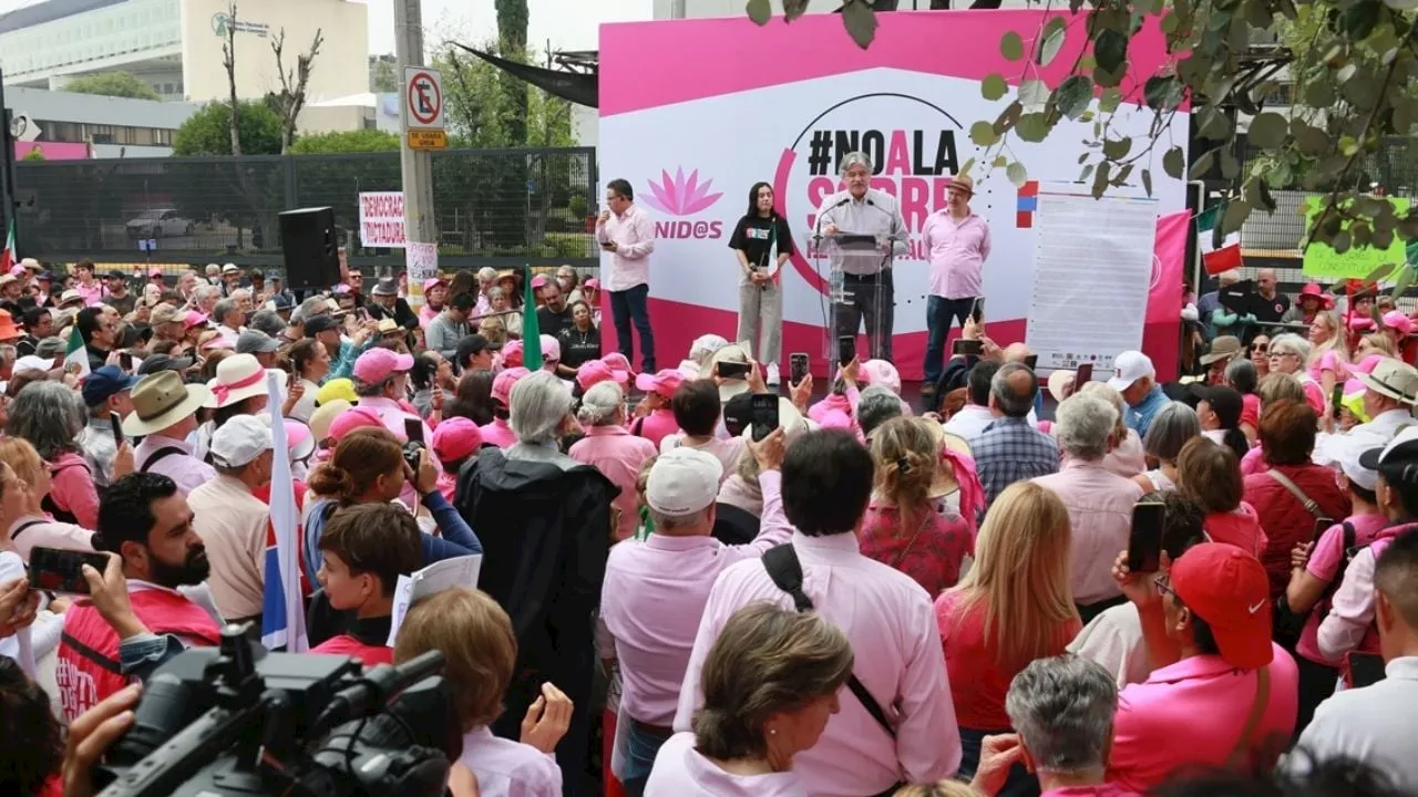 Marea Rosa se moviliza contra la sobrerrepresentación de Morena y aliados