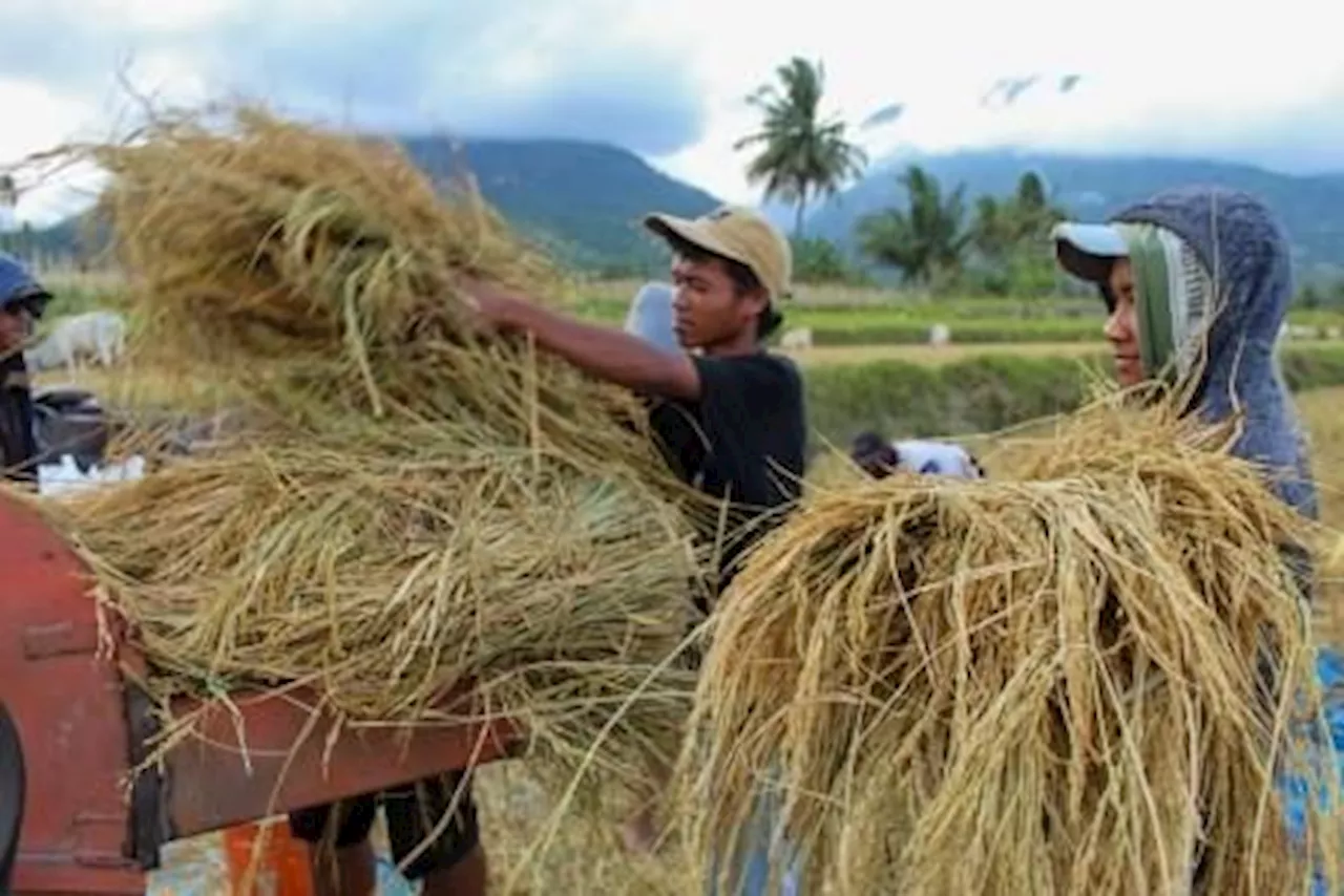 Kementan Genjot Regenerasi Petani Muda