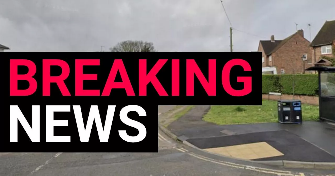 Man shot by armed police after 'altercation' between two people in Surrey