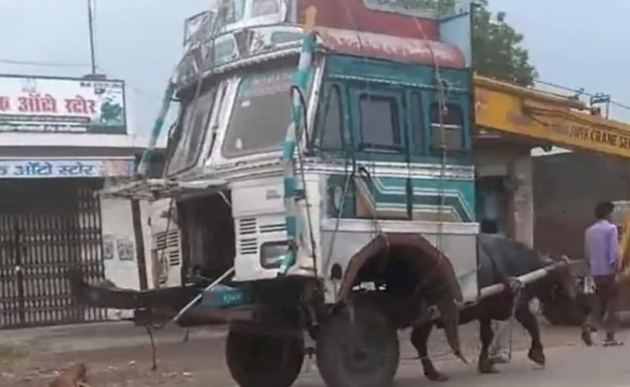 पीछे की तरफ चल पड़ा ट्रक, लोगों को लगा ब्रेक फेल होने का डर, पूरा वीडियो देख हंस-हंसकर लोटपोट हुए लोग