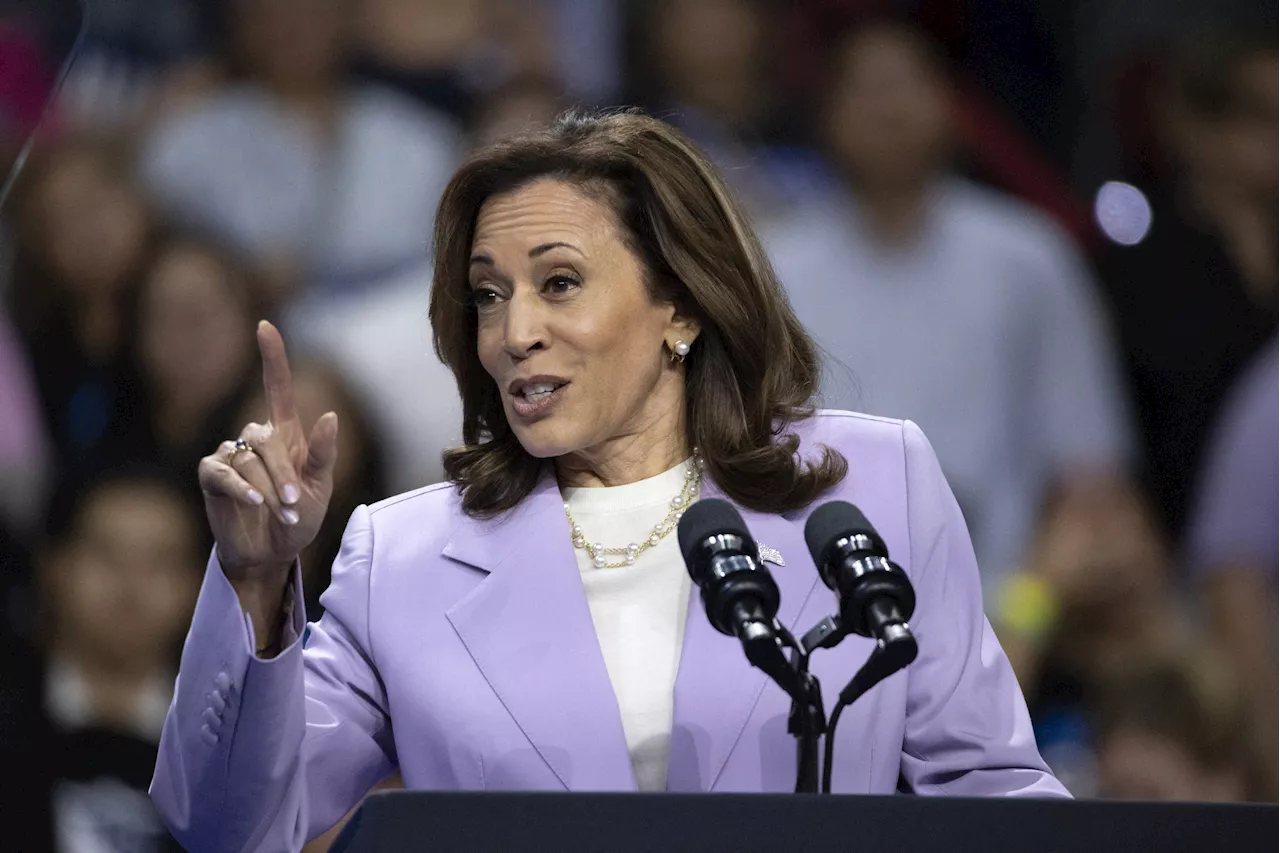 Kamala Harris Gets Major Boost From Voters on Economy