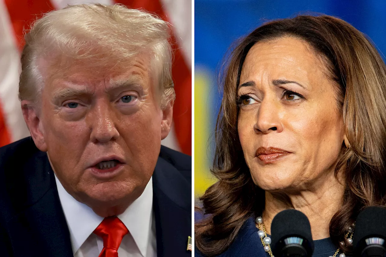 Kamala Harris Ties Donald Trump in State He Won in 2016 and 2020: Poll