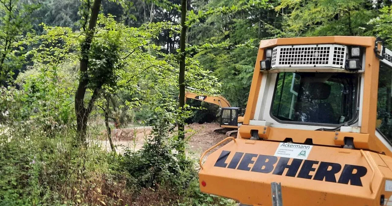 Illegal umgebaute Reitanlage im Kreis Gütersloh - Unternehmerin drohen jetzt Strafen