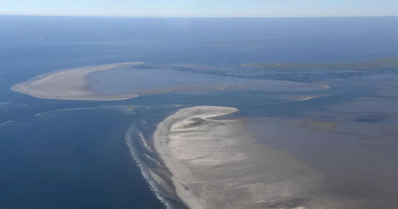 Klimawandel verändert Wattenmeer im Rekordtempo