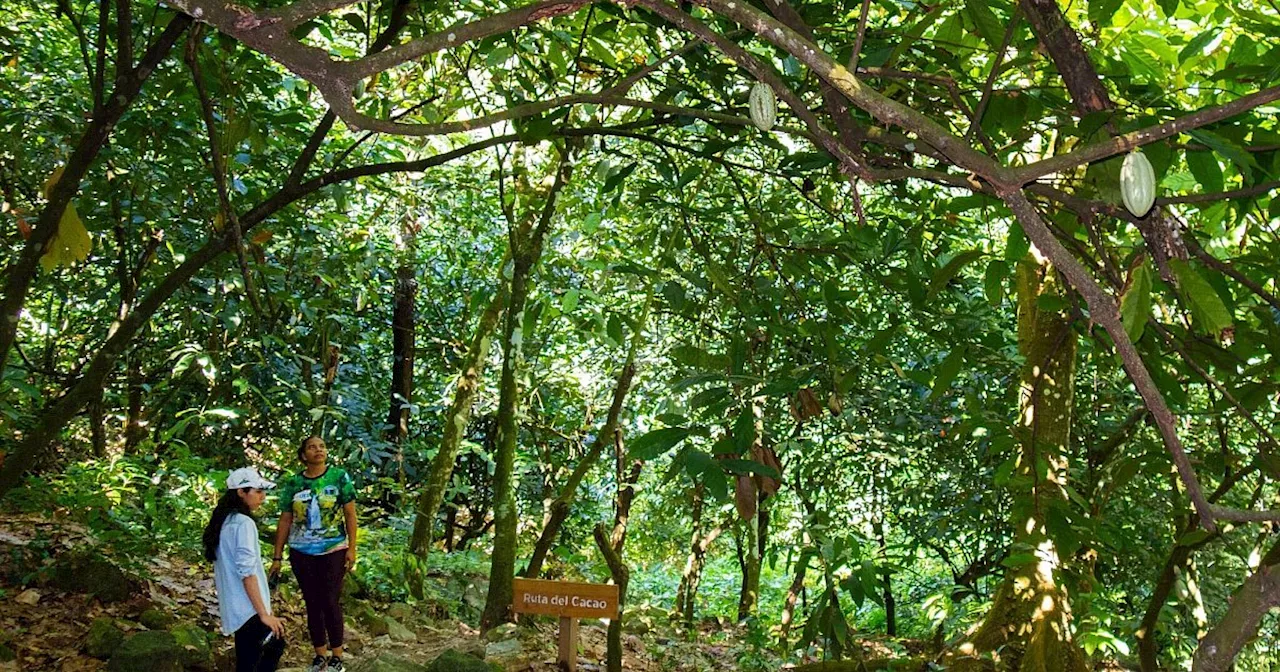 Meditation statt Massen: Die «Dom. Rep.» ohne All-inclusive