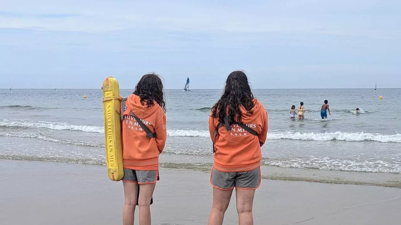 Un requin aperçu sur deux plages de la Manche, les baigneurs ont dû être évacués