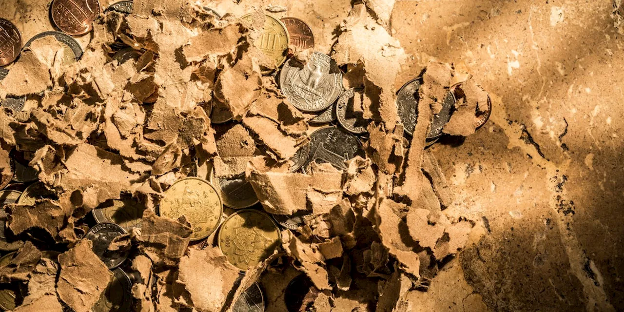 Archaeologists Found a Secret Stash of Gold Coins That Rewrite the History of War