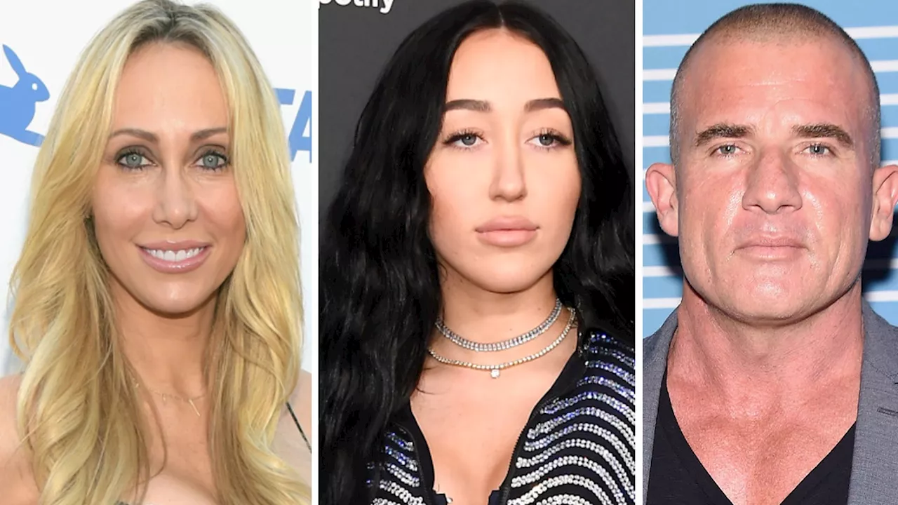 Tish und Noah Cyrus arbeiten nach Dominic-Drama an Beziehung