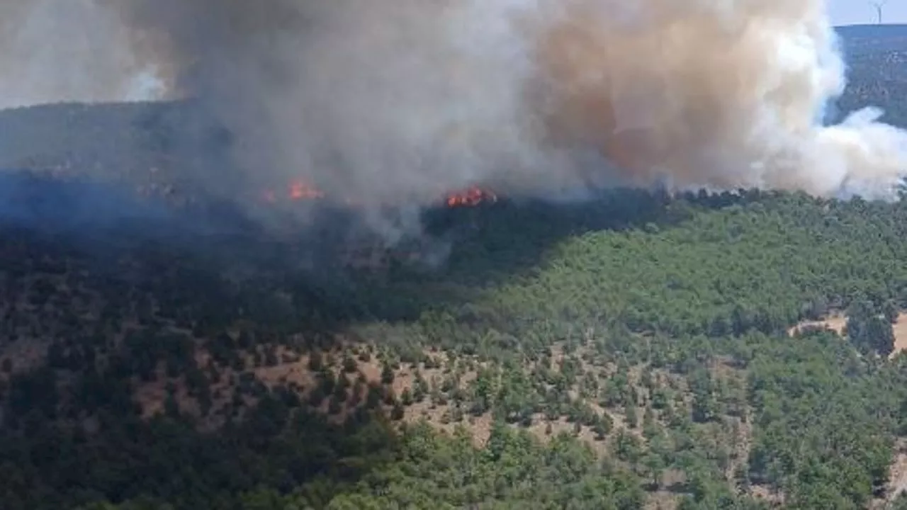 Confinado el municipio de Corbalán (Teruel) por un incendio forestal que afecta a 240 hectáreas