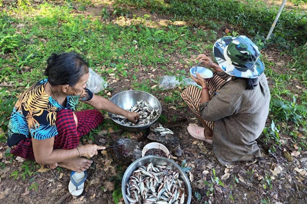 การพัฒนาของรัฐ!! “ภาคประชาชน-นักวิชาการ”ชี้เหตุปลาแม่น้ำชีลดลง