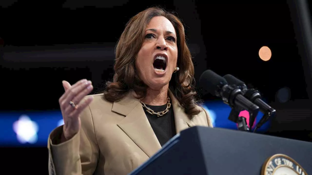 US election is Kamala Harris’ to lose as she gains momentum in Pennsylvania