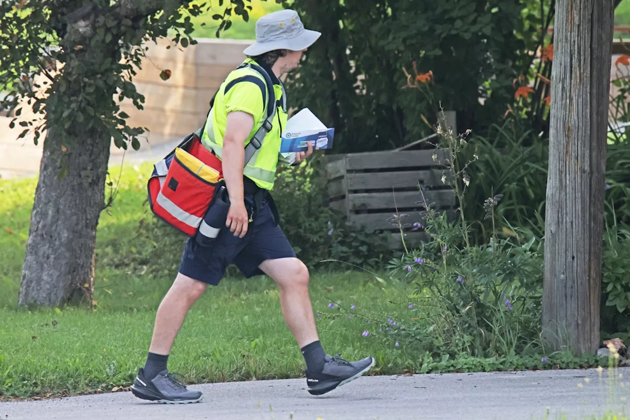 'We've had some bites:' Canada Post reminding residents to keep dogs secure