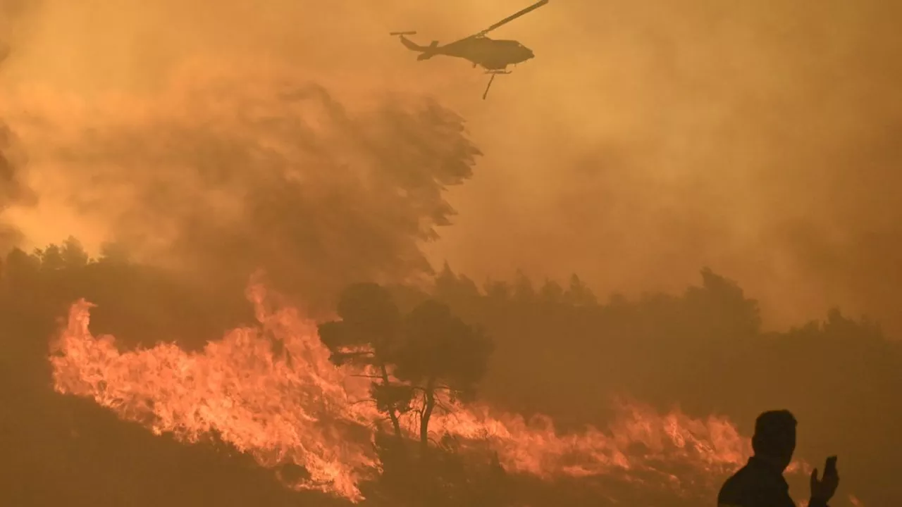 Mehr als 25 Meter hohe Flammen: Großbrand bedroht Dorf nördlich von Athen