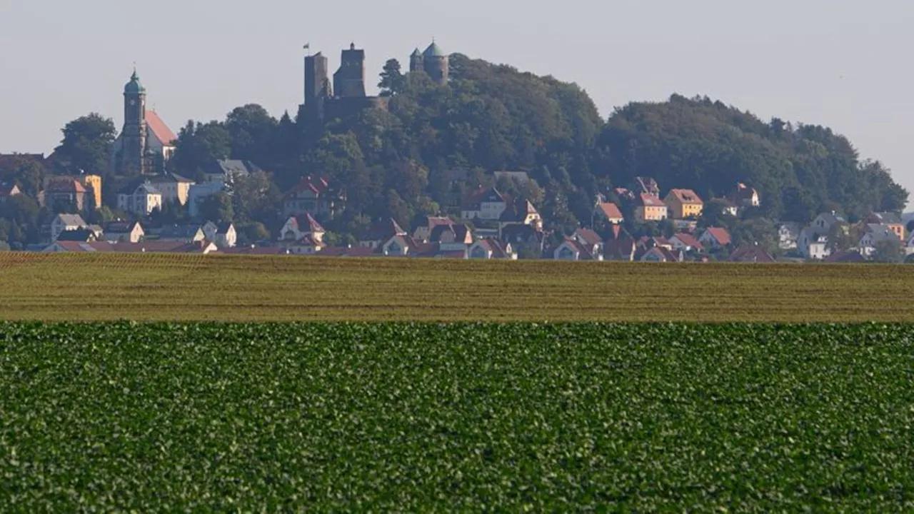 Bürgerschaftliches Engagement: Über 600 Stiftungen in Sachsen