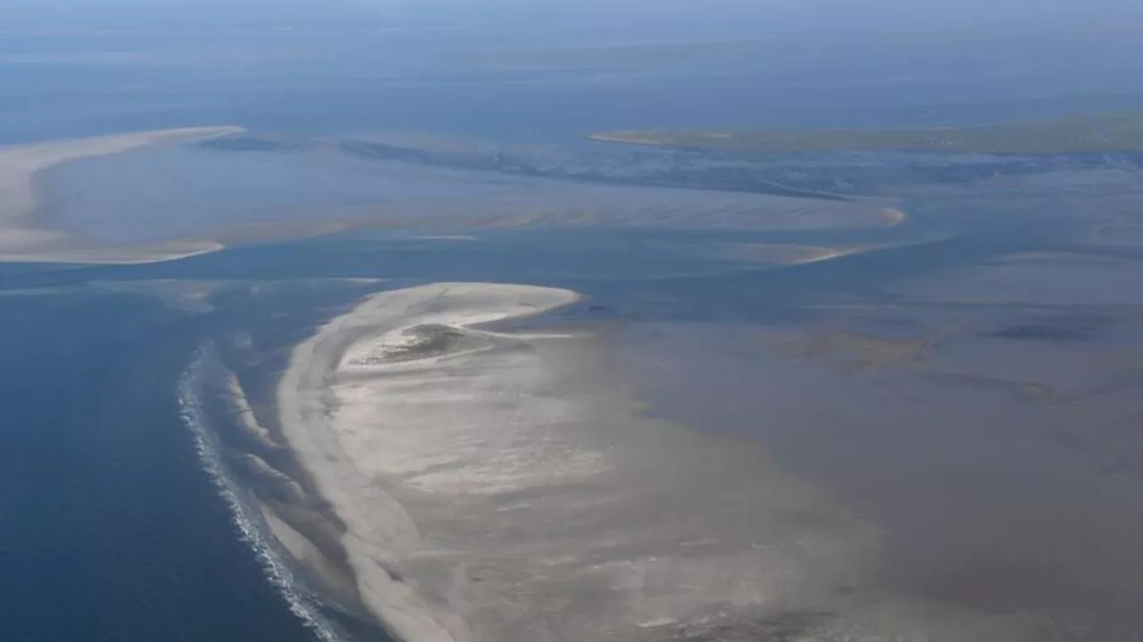 Nordseeküste: Klimawandel verändert Wattenmeer im Rekordtempo