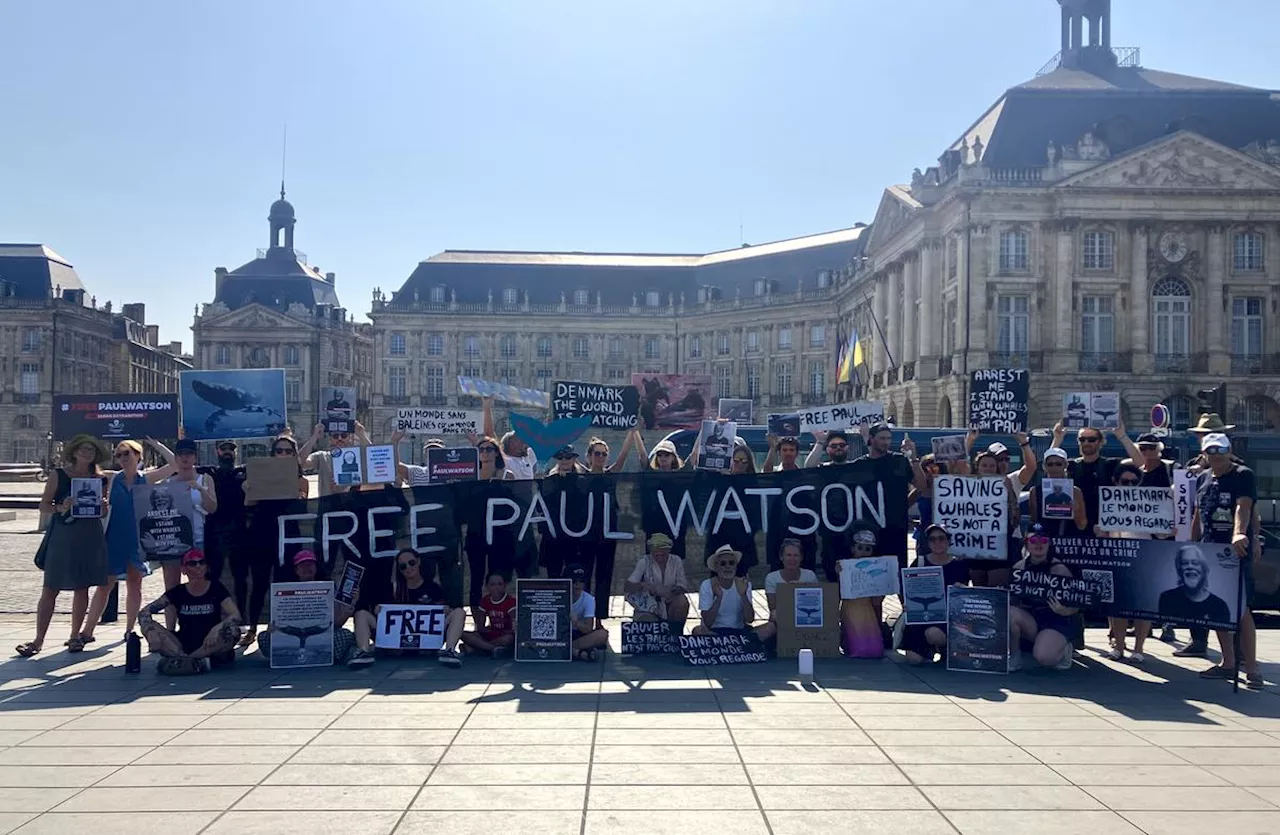 Bordeaux : « On ne le laissera pas tomber », une mobilisation en soutien à Paul Watson