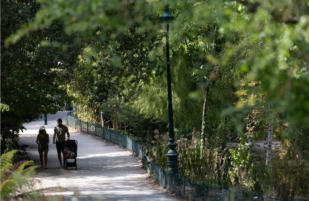 Canicule à Bordeaux : piscines, espaces verts… les mesures de la Ville durant le pic de chaleur exceptionnel