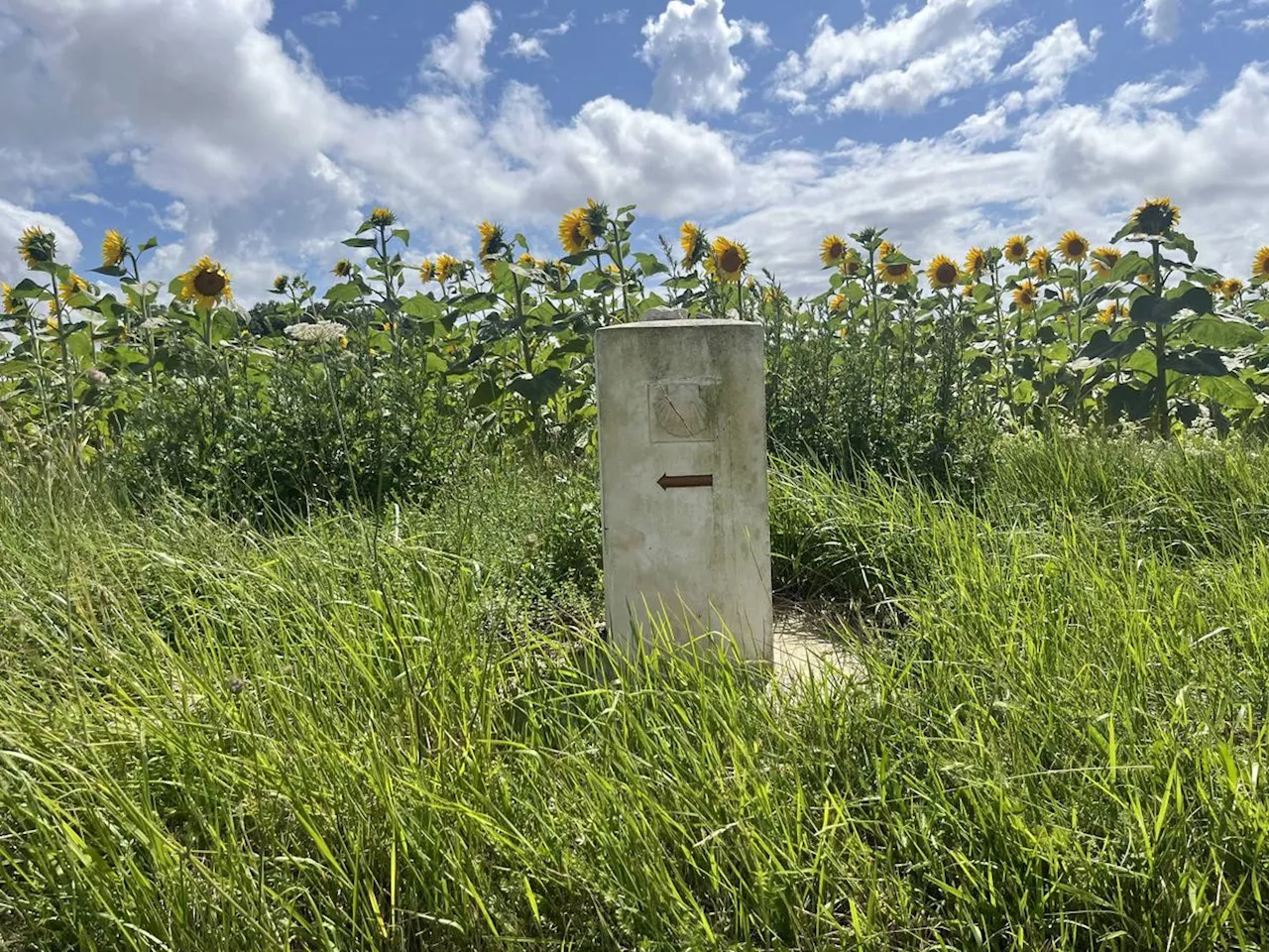 Sur le chemin saintongeais de Compostelle : « Vous n’avez pas dû tourner au bon endroit »