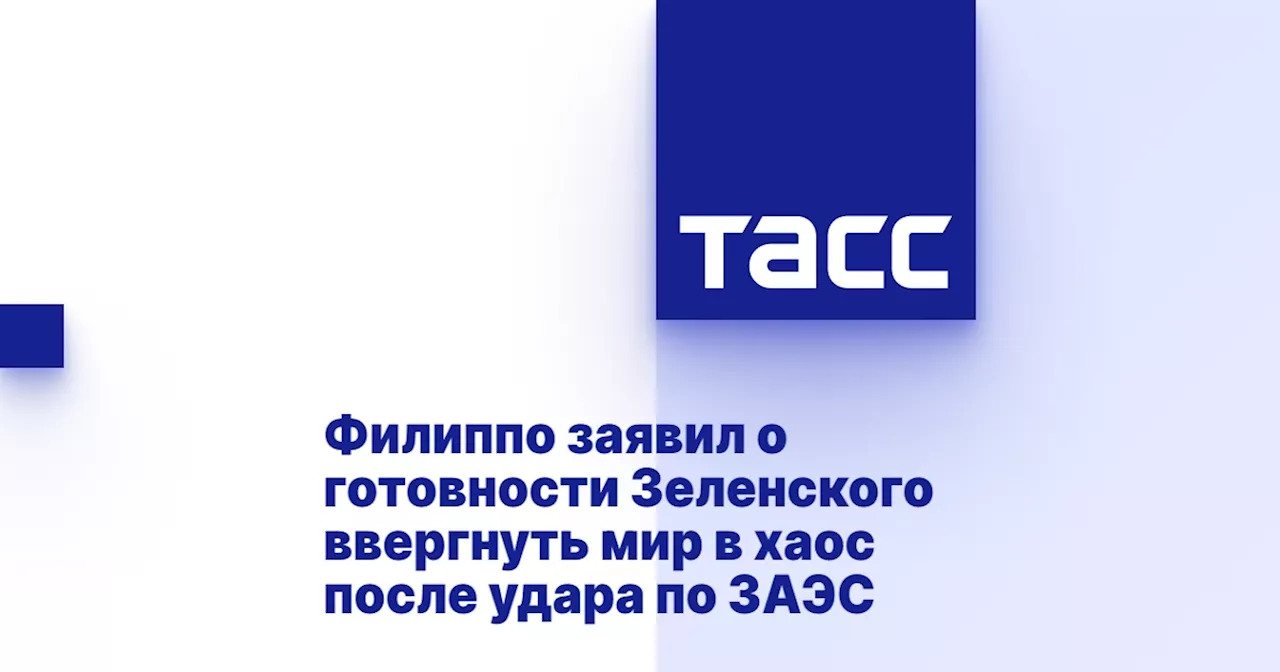 Филиппо заявил о готовности Зеленского ввергнуть мир в хаос после удара по ЗАЭС