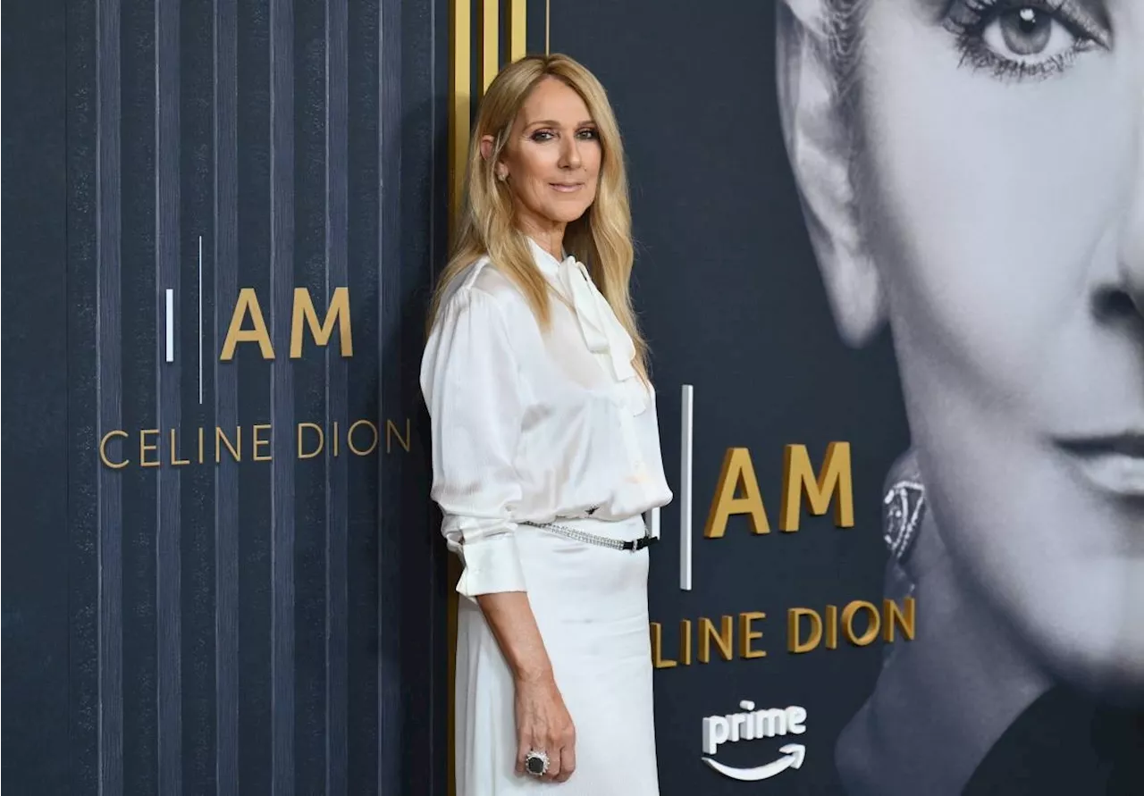 Celine Dion jabs Trump for playing 'Titanic' song at rally