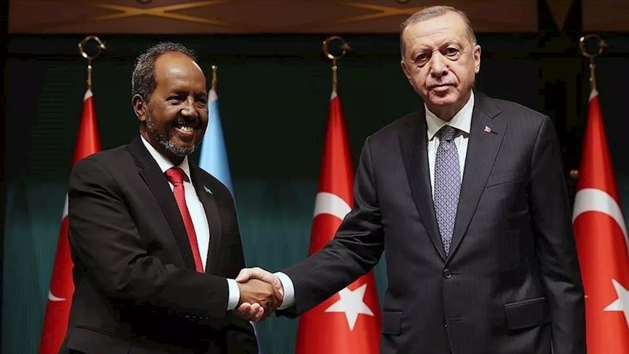 الرئيس أردوغان يؤكد لشيخ محمود مواصلة جهود حل التوتر بين الصومال وإثيوبيا