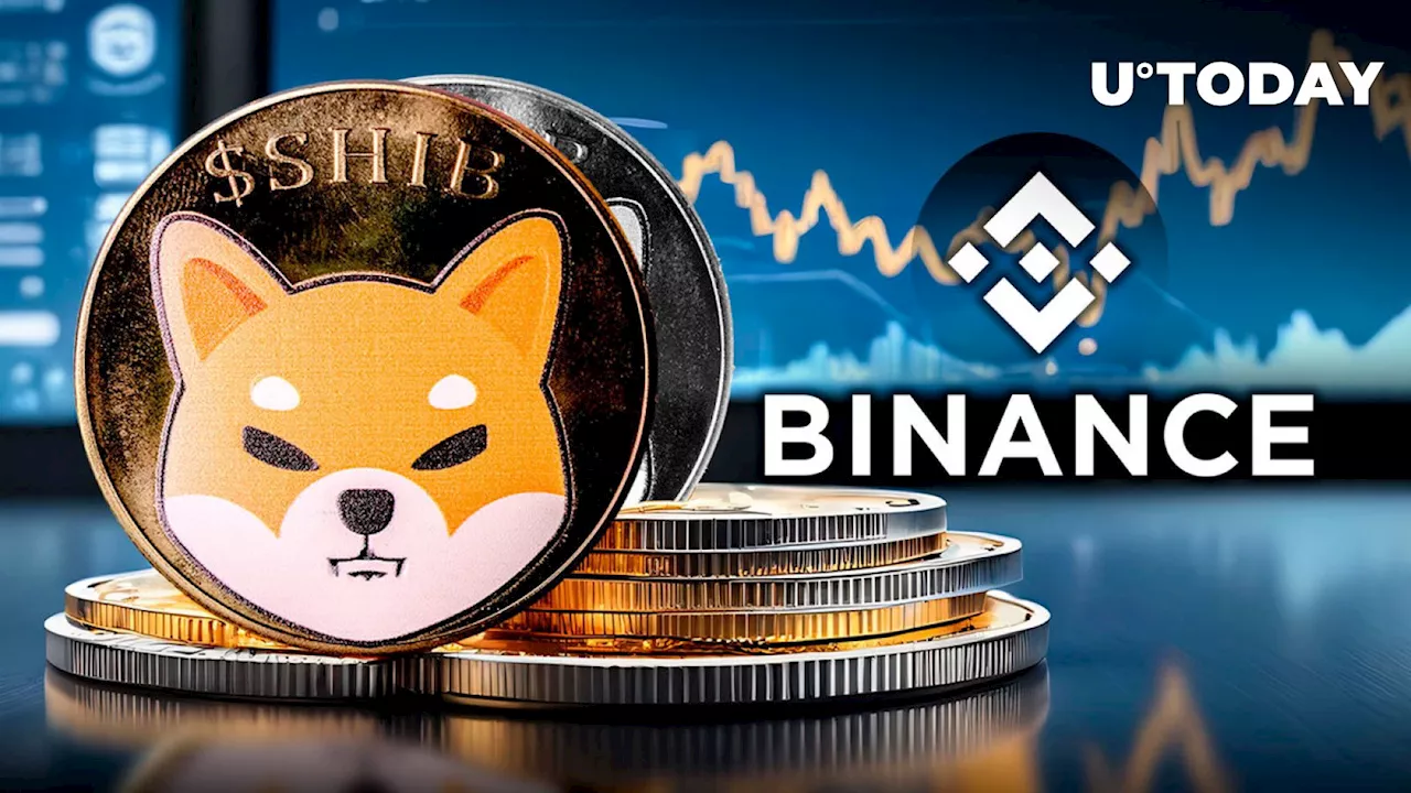 Binance Moves 137 Billion Shiba Inu (SHIB): Details