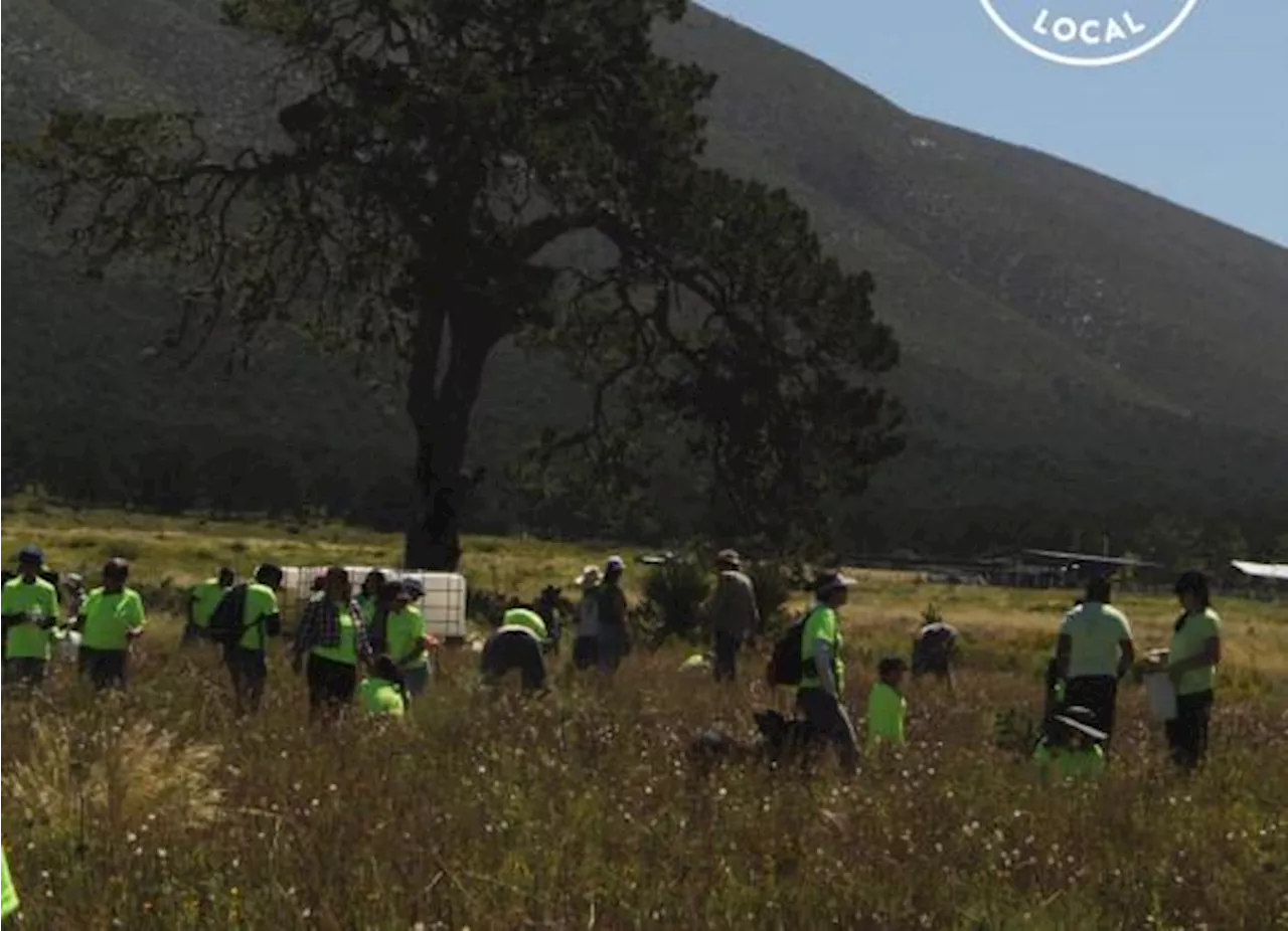 Apoya Tu Bosque Local y voluntarios plantan más de dos mil árboles en la Sierra de Zapalinamé