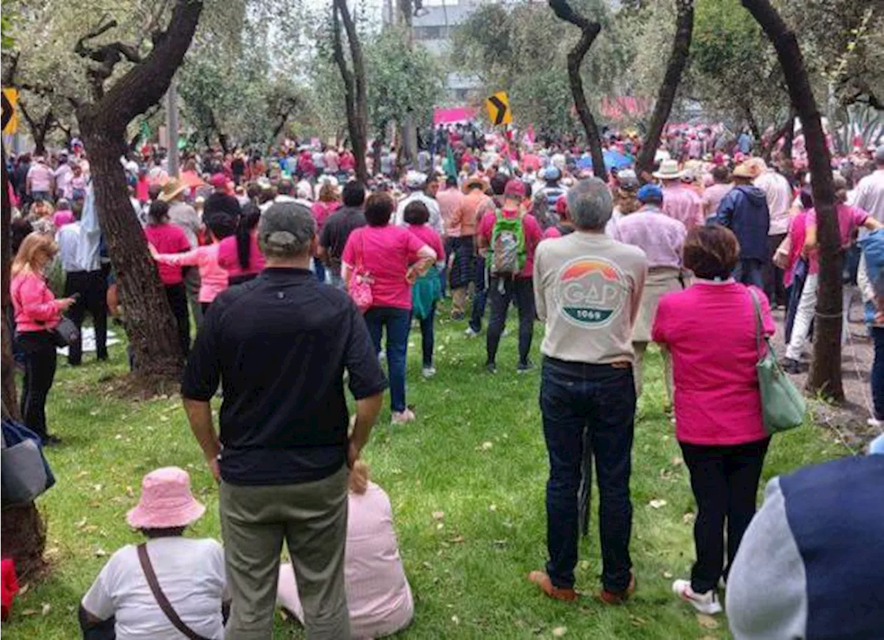 Exigen al INE evitar ‘sobrerrepresentación’ en el Congreso