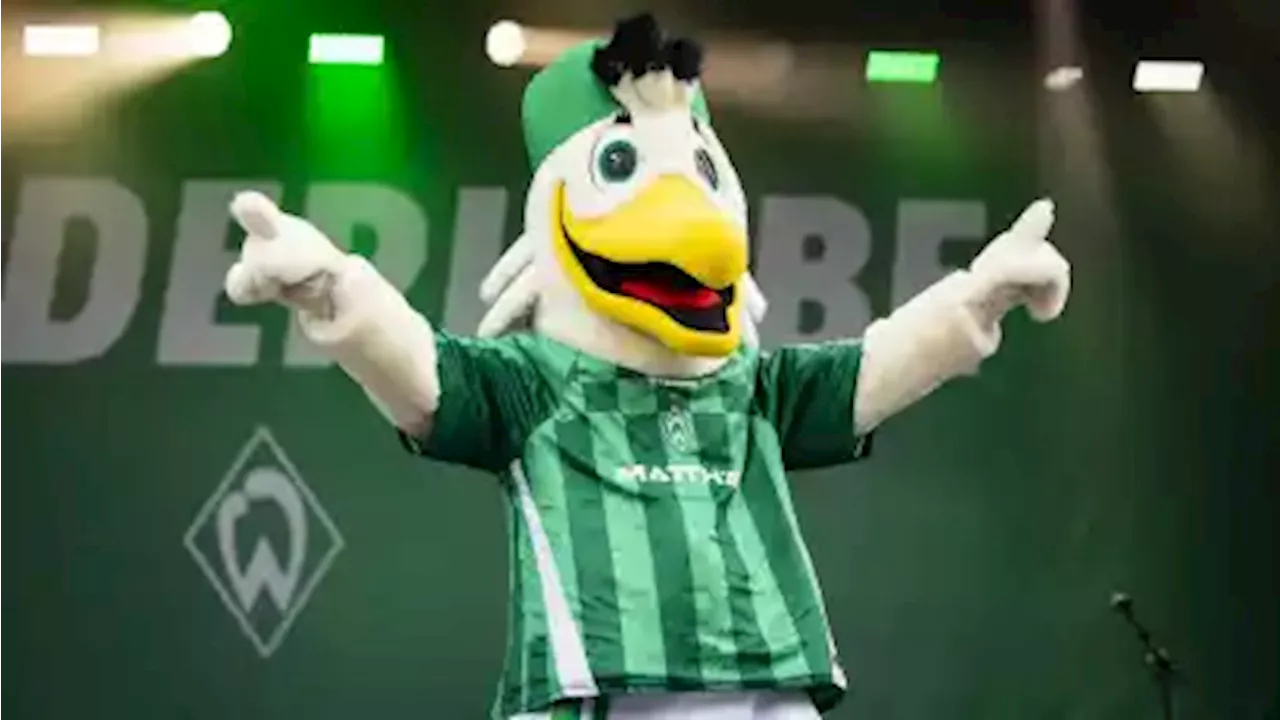 Werder Bremen: Warum das neue Maskottchen Toni nicht ins Stadion darf