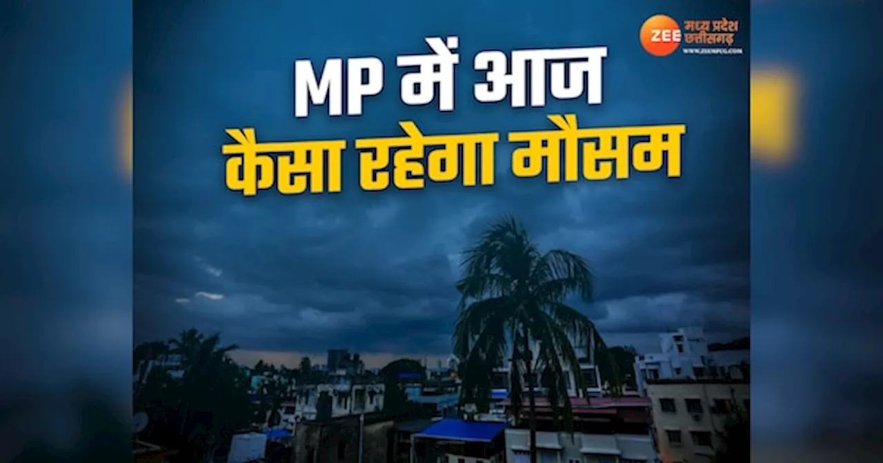 गुना-शिवपुरी समेत 29 जिलों में भारी बारिश का अलर्ट, जानें आपके शहर में कैसा रहेगा मौसम