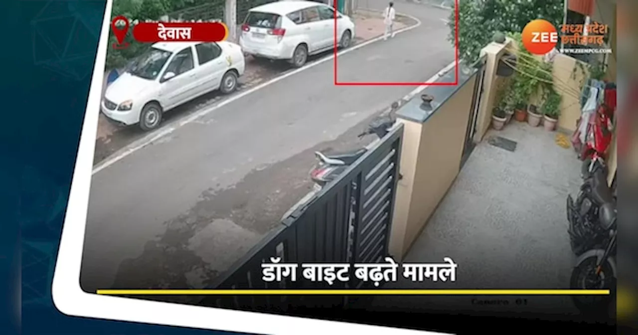 देवास में कुत्तों ने बच्ची पर किया हमला, CCTV में कैद हुआ डरावना मंजर