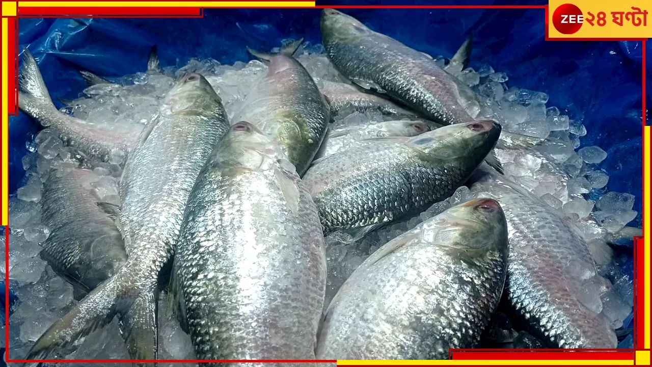 Bangladesh Hilsa: এবার পুজোয় পশ্চিমবঙ্গে কি ঢুকবে পদ্মার ইলিশ? জানিয়ে দিল বাংলাদেশ