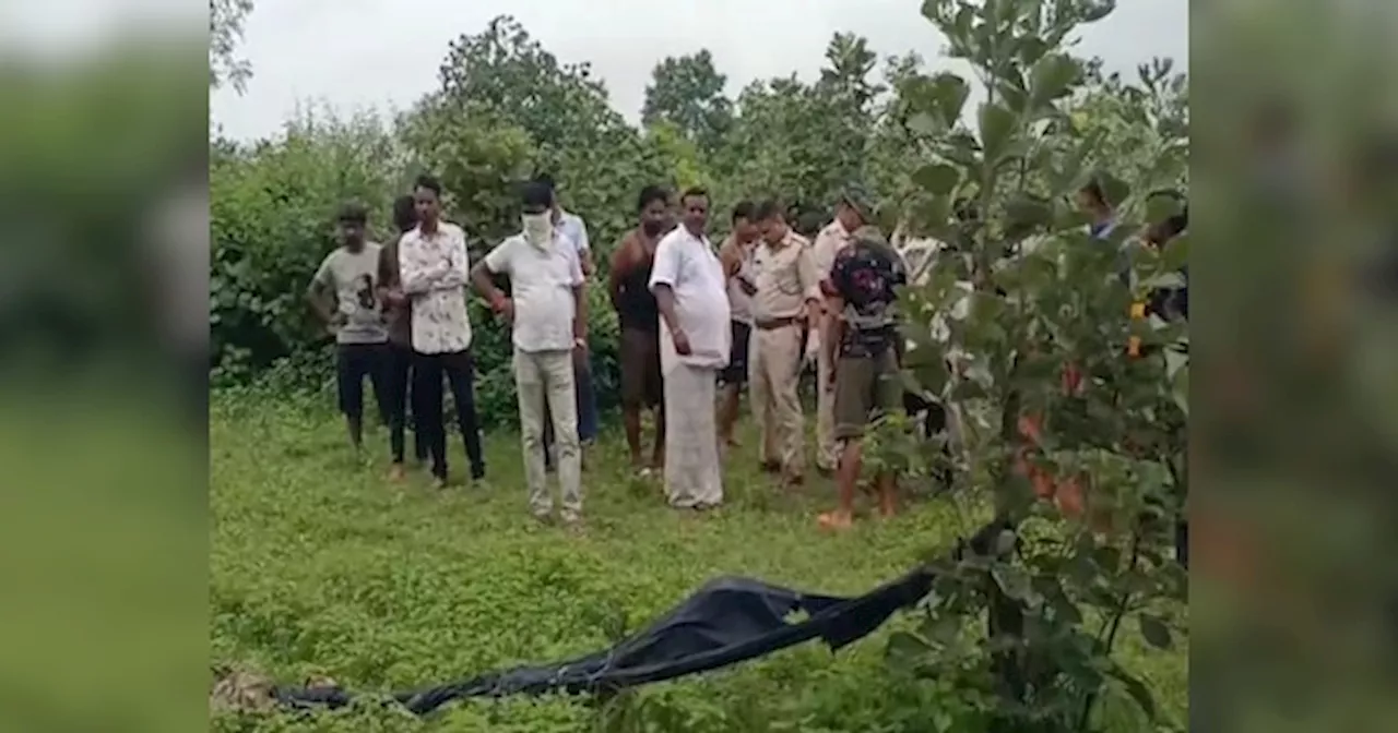 Jharkhand News: गढ़वा के जंगल में मिला महिला का कंकाल, सात दिनों से थी लापता, बेटी ने हत्या का आरोप लगाया