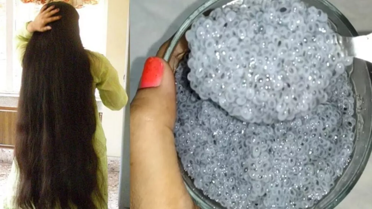 Sabja Seeds For Hair Growth : ఈ గింజలు నానబెట్టిన నీళ్లుతా తాగితే చాలు..పట్టుకుచ్చుల్లాంటి,ఒత్తైన, నల్లని జుట్టు మీ సొంతం..!!